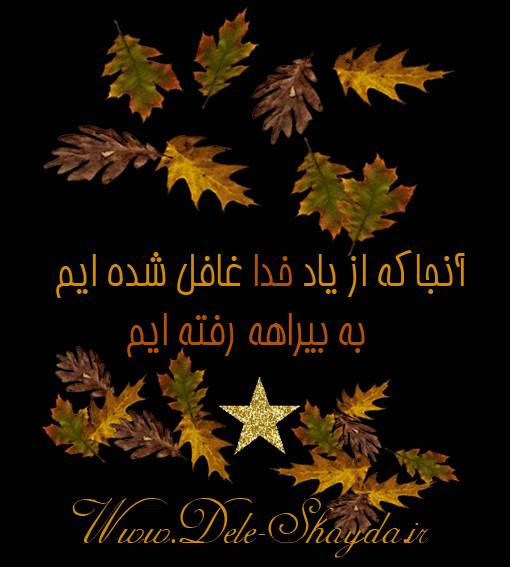عاشقانه های دل شیدا