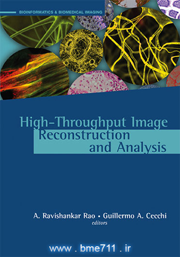 High-Throughput Image Reconstruction and Analysis