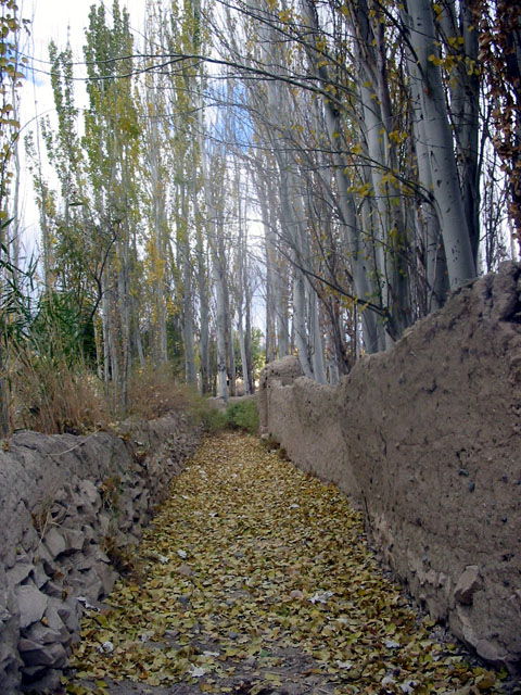 پاییز طرق رود