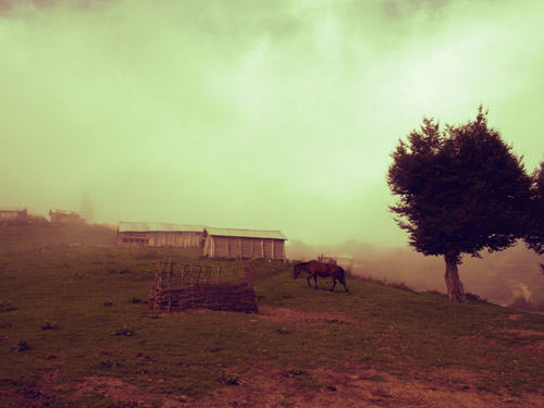 http://s3.picofile.com/file/7982397204/CIMG00210.jpg