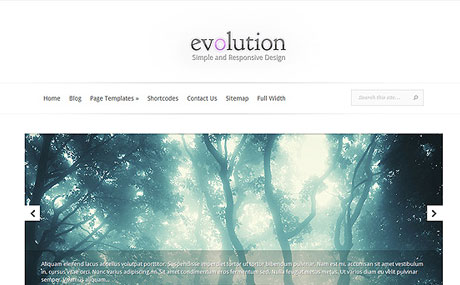 Evolution-v2.6-WordPress-Theme