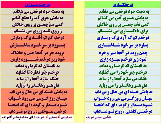 درختكاري ـ درخت سوزي