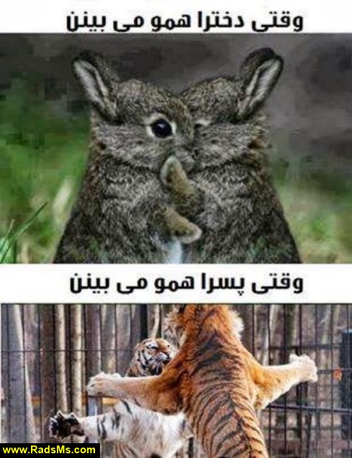 fuy_picture_best
