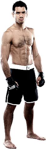 ))> پیش نمایش UFC Fight Night 66 : Edgar vs. Faber <((