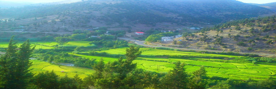 بالا بازار یا بالا محله