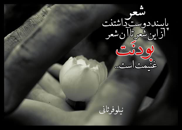 http://s3.picofile.com/file/8190516418/%D8%A8%D9%88%D8%AF%D9%86%D8%AA_%D8%BA%D9%86%DB%8C%D9%85%D8%AA_%D8%B3%D8%AA.jpg