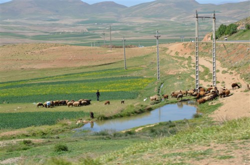 کشاورزی مشهد کاوه روستای مشهد کاوه
