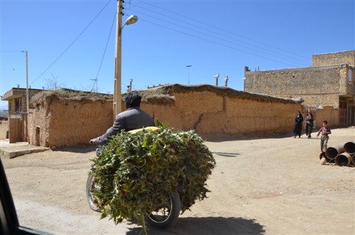 کشاورزی مشهد کاوه روستای مشهد کاوه