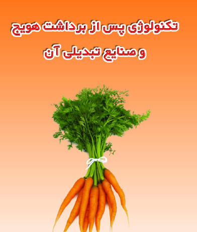 تکنولوژی پس از برداشت هویج و صنایع تبدیلی آن