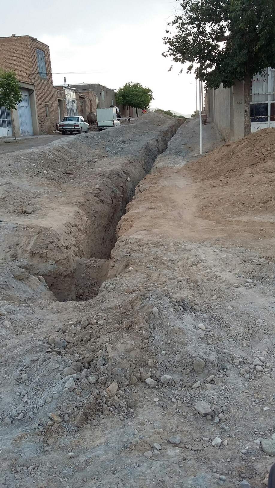 ساج
