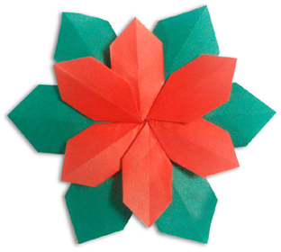 گل(Flower)