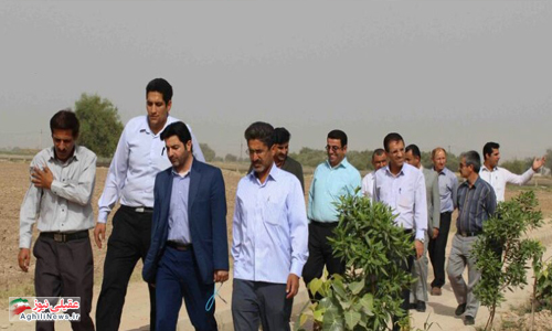 شورای اداری شهرستان گتوند در شهر سماله