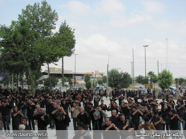 http://s3.picofile.com/file/8198565584/IMG_8385.jpg