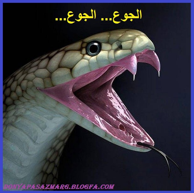 http://s3.picofile.com/file/8199068342/snake_attack02.jpg