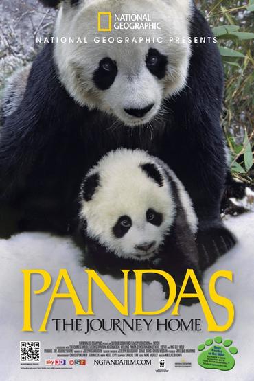 دانلود مستند حیوانات Pandas: The Journey Home 2014