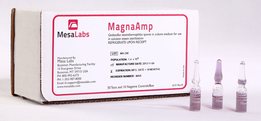 Magna Amp