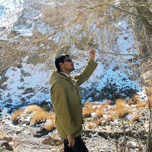 نوید کمالی ، Navid Kamali نوید کمالی ، Navid Kamali