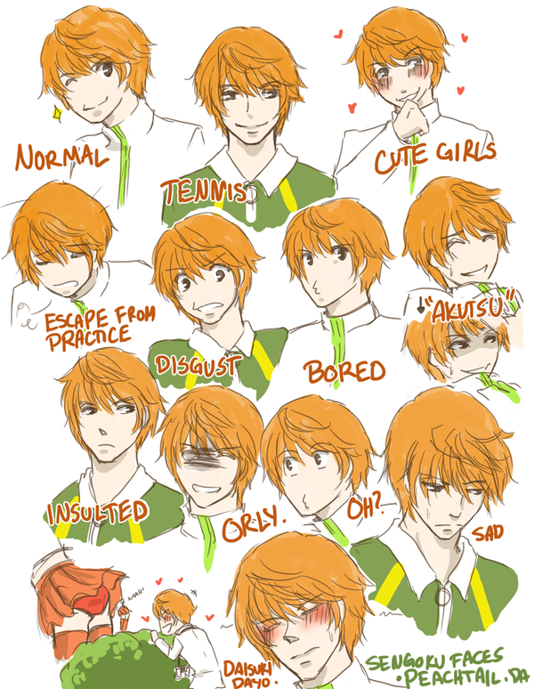 http://s3.picofile.com/file/8200279942/expressions_sengoku_by_peachtail_d4mcyyg.png