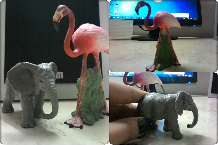 http://s3.picofile.com/file/8201372626/20150721_151808_kdcollage.jpg