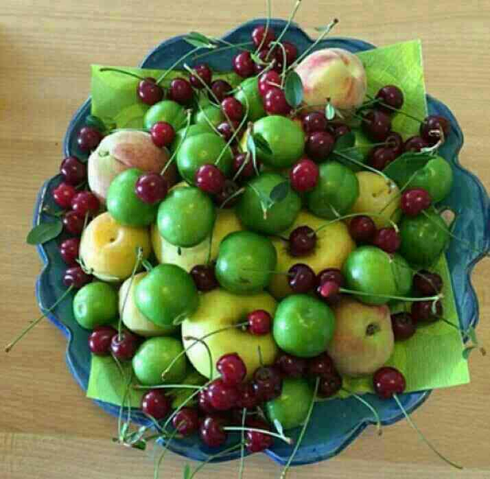 میوه های ترش.گوجه سبز.البالو