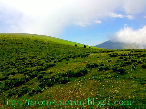 ییلاق آب بر