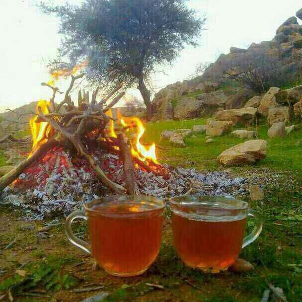 چای دونفره.چای.صبحانه.چای کنار آتش,بهارنارنج