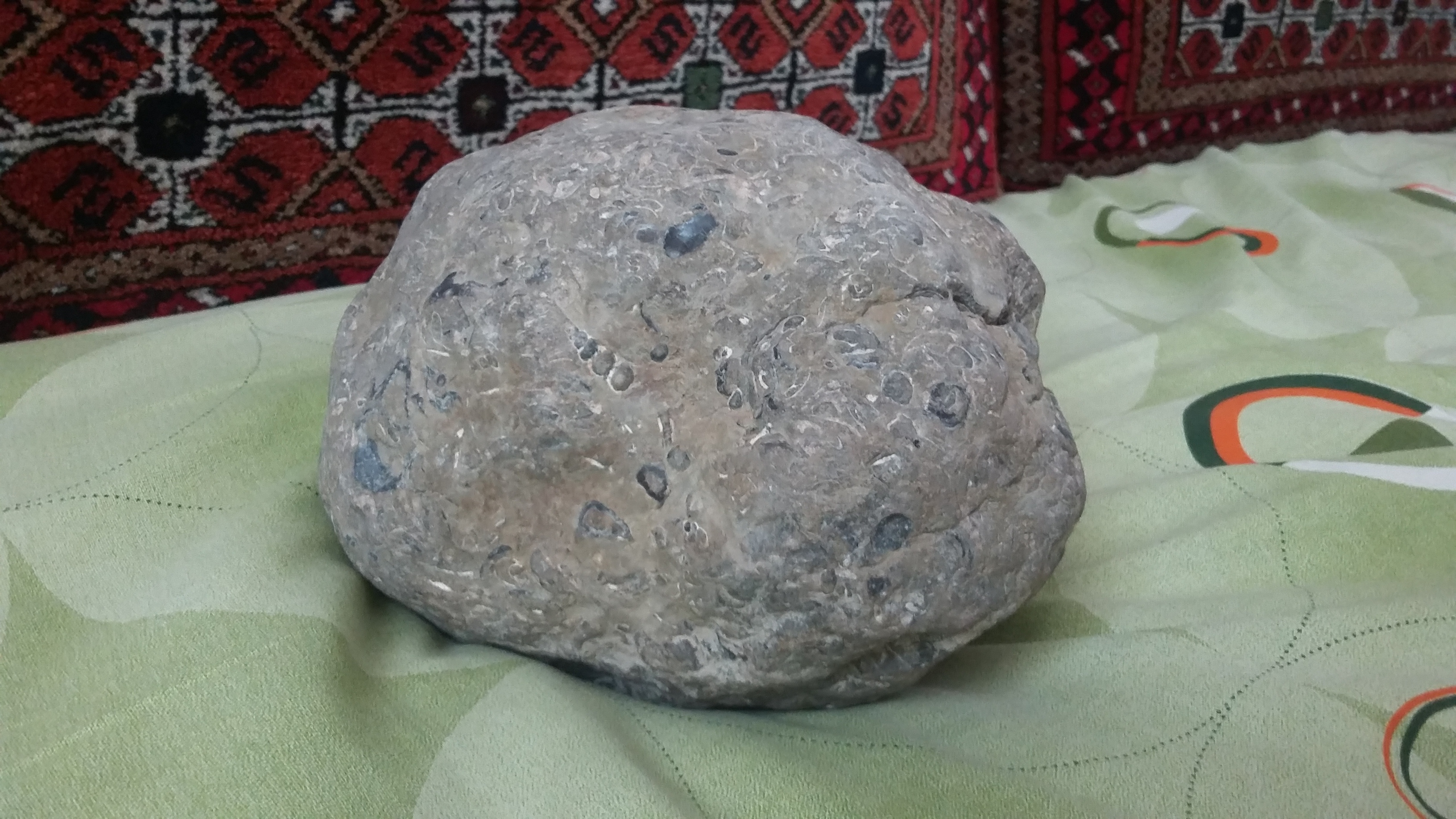 سنگ لاک پشت - همه چیز در مورد گنج های ایران