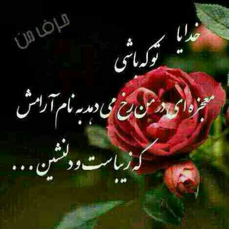 http://s3.picofile.com/file/8205141242/679.jpg