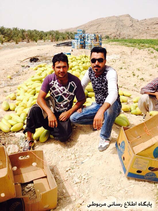 http://s3.picofile.com/file/8205721550/merbet_kohzad_4_.jpg