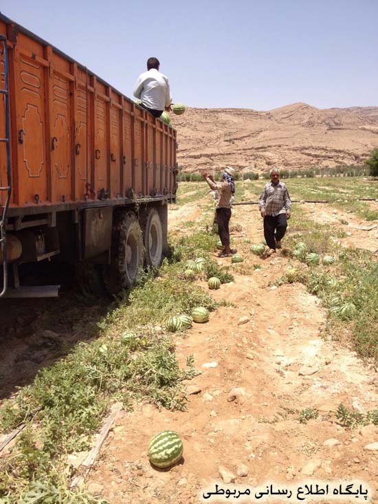 http://s3.picofile.com/file/8205721700/merbet_kohzad_9_.jpg