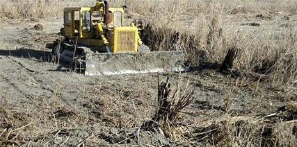 هورالعظیم در سال 1394