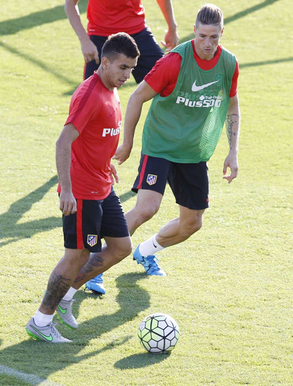 http://s3.picofile.com/file/8207392550/Fernand_Torres_Training_pics_before_the_match_against_LAP_by_F9Tfans_blogsky_com_5_.jpg