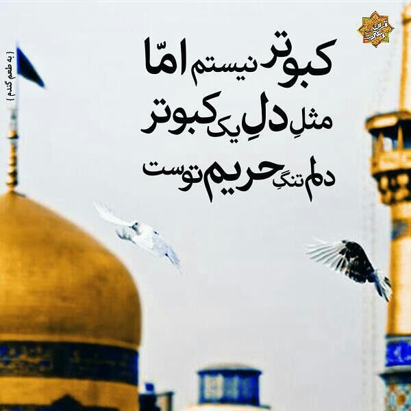 http://s3.picofile.com/file/8208350868/113362tobayen.jpg