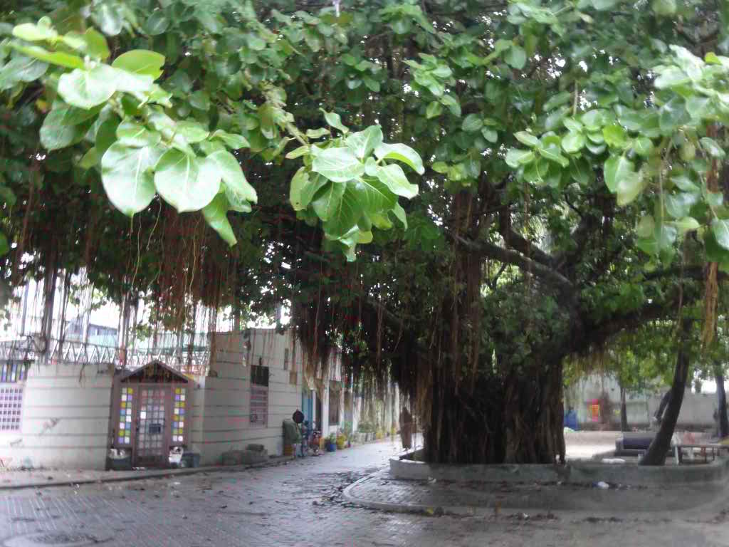 http://s3.picofile.com/file/8209967618/277.jpg