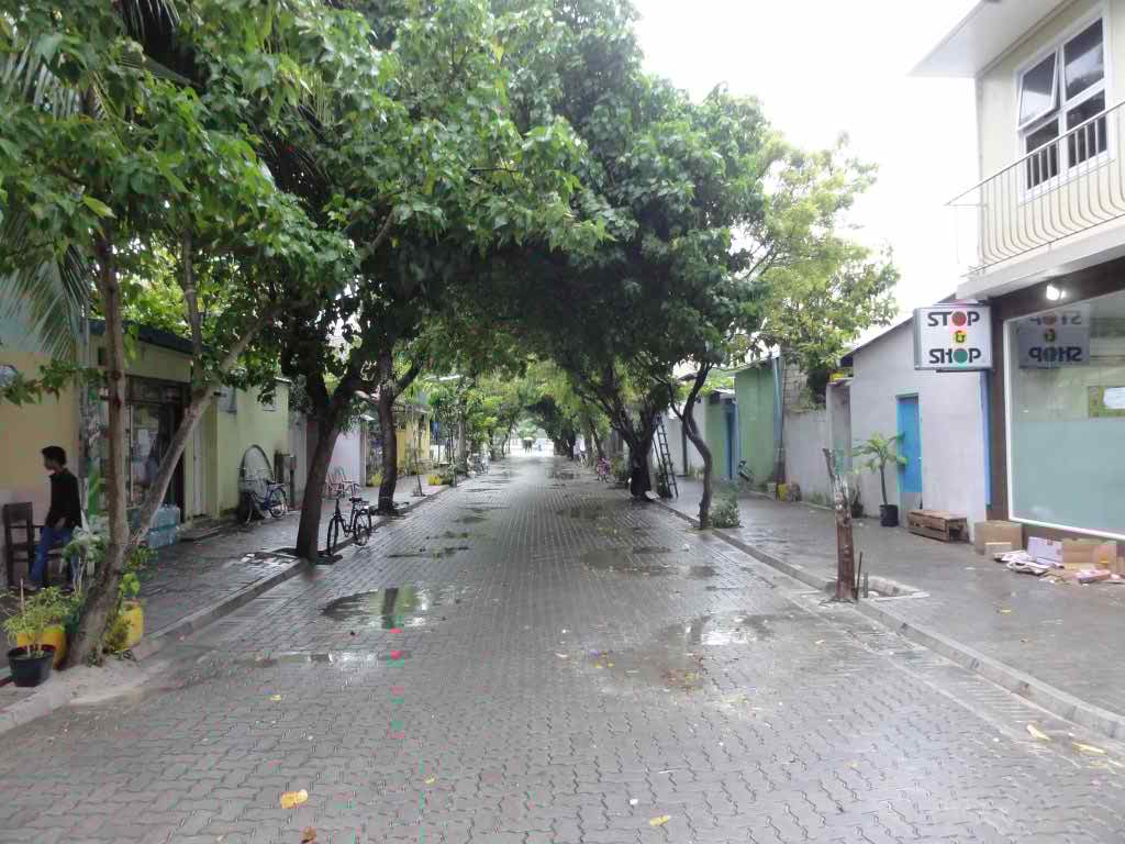 http://s3.picofile.com/file/8209967700/283.jpg