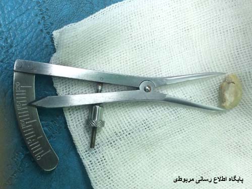 http://s3.picofile.com/file/8211231600/amal_1_.jpg