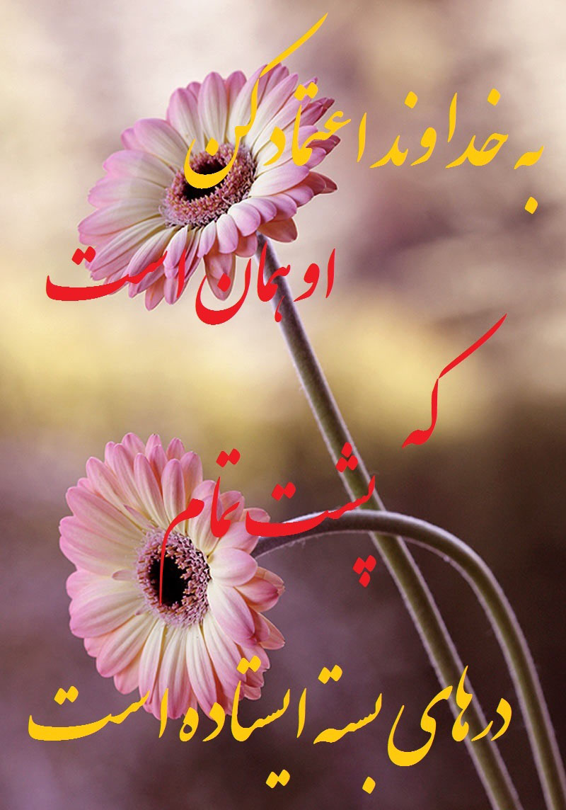 http://s3.picofile.com/file/8211982742/w1ab3zla9ww2ckv8fong.jpg