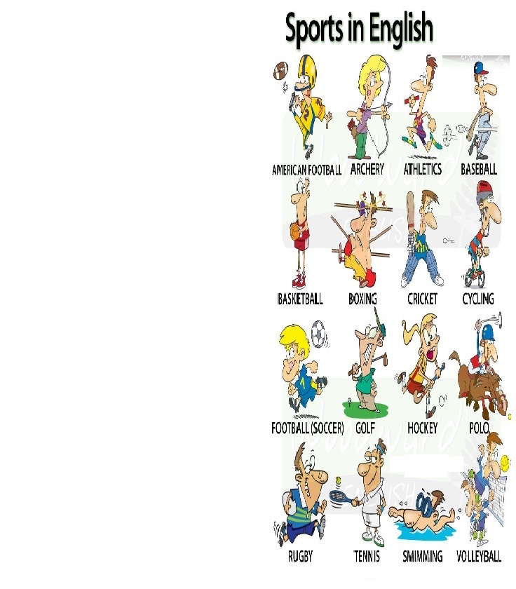 Sports in English