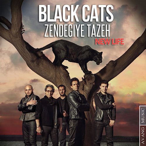 http://s3.picofile.com/file/8214630218/Black_Cats_Zendegiye_Tazeh.jpg
