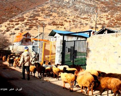 رمه