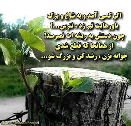پاسخ به:جملات زیبا