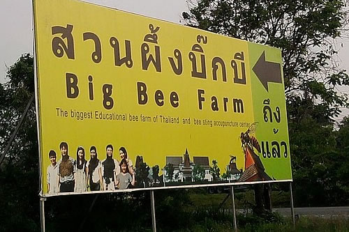 http://s3.picofile.com/file/8216431150/Big_Bee_Farm_pattaya_3.jpg