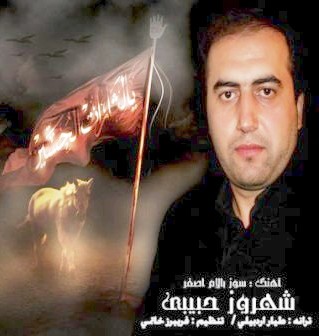 شهروز حبیبی