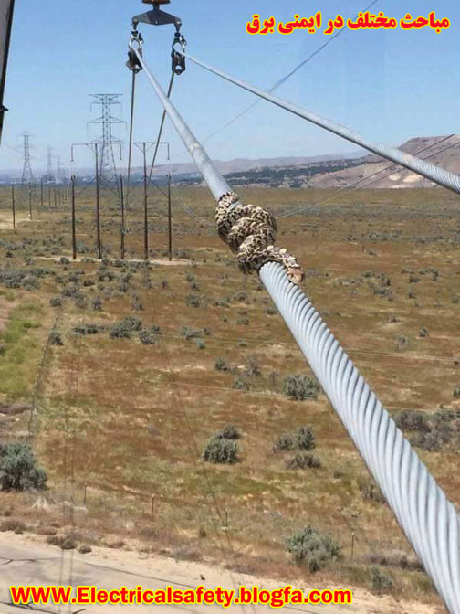 رضا نیک پیام، ایمنی برق ،Reza Nikpayam