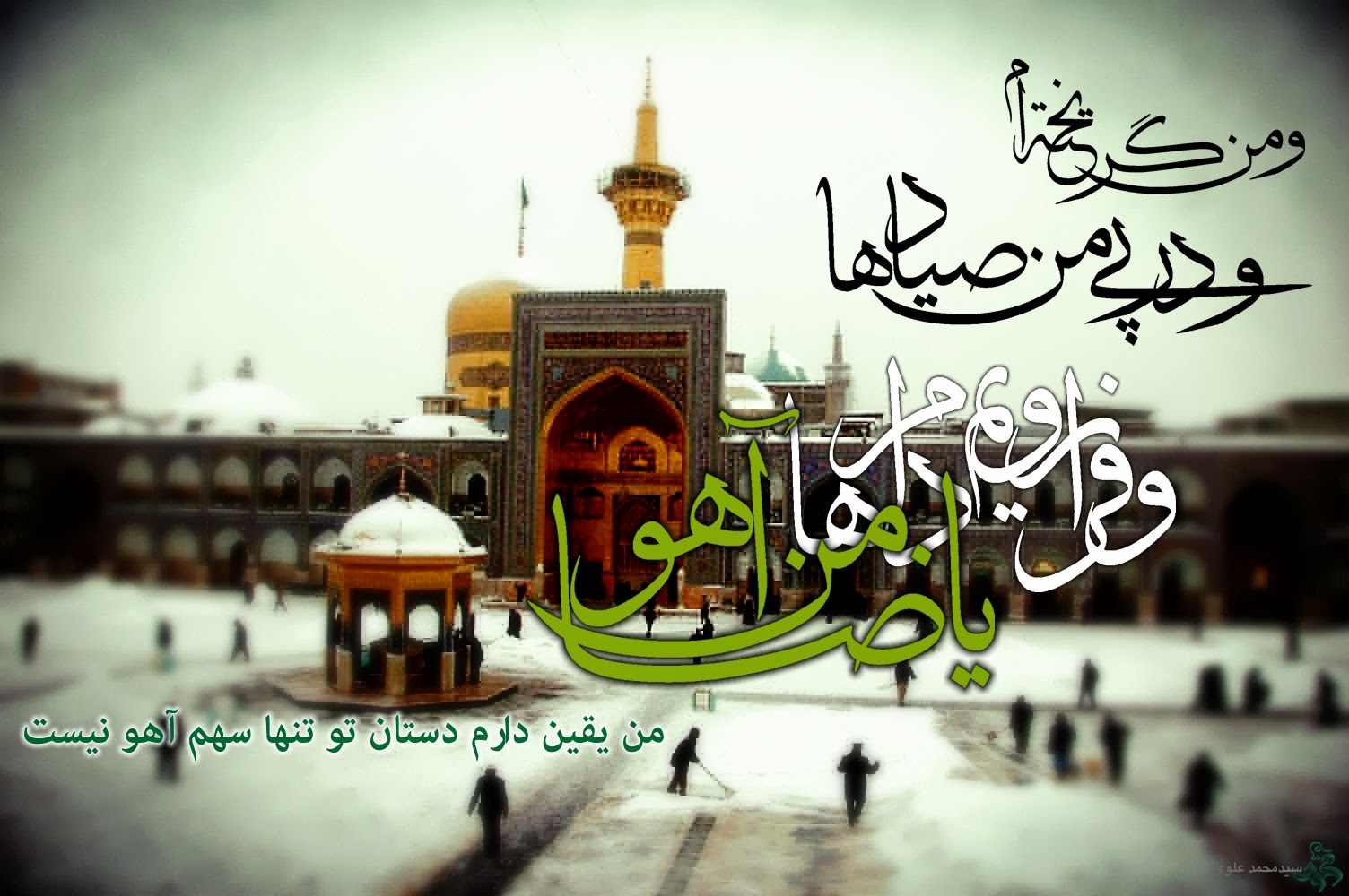 Image result for ‫یا ضامن آهو‬‎