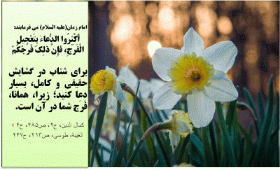 IMAGE(http://s3.picofile.com/file/8221167650/bloggif_563b9e9066b8a.gif)