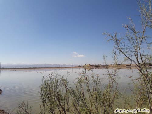 http://s3.picofile.com/file/8222537618/barandegi_20_aban_kahneh_9_.jpg