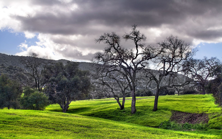 ترانه خانه ترانه خانه