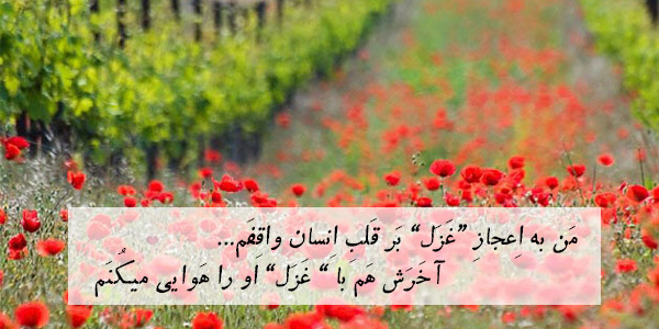 مَن به اِعجازِ “غَزَل” بَر قَلبِ اِنسان واقِفَم.. آخَرَش هَم با ” غَزَل” او را هَوایی میکُنَم