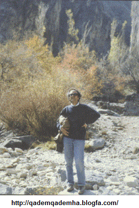 محمد شفیعی کدکنی